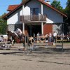 Babie Lato z Hucułami 2015